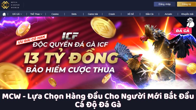 Giới thiệu chung về MCW